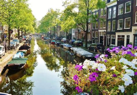 amsterdam trip advisor